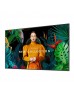 SAMSUNG QM75C 75 inch PROFESYONEL MONİTÖR